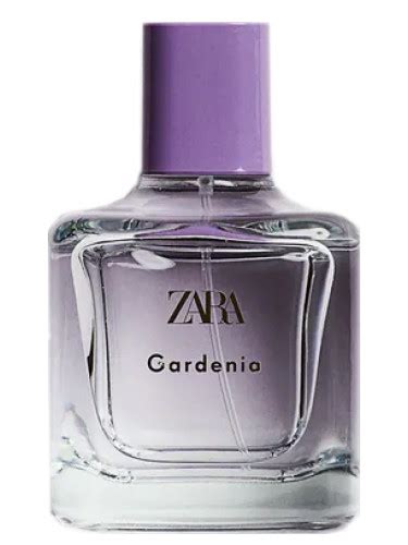 gardenia zara perfume price|zara gardenia smells like.